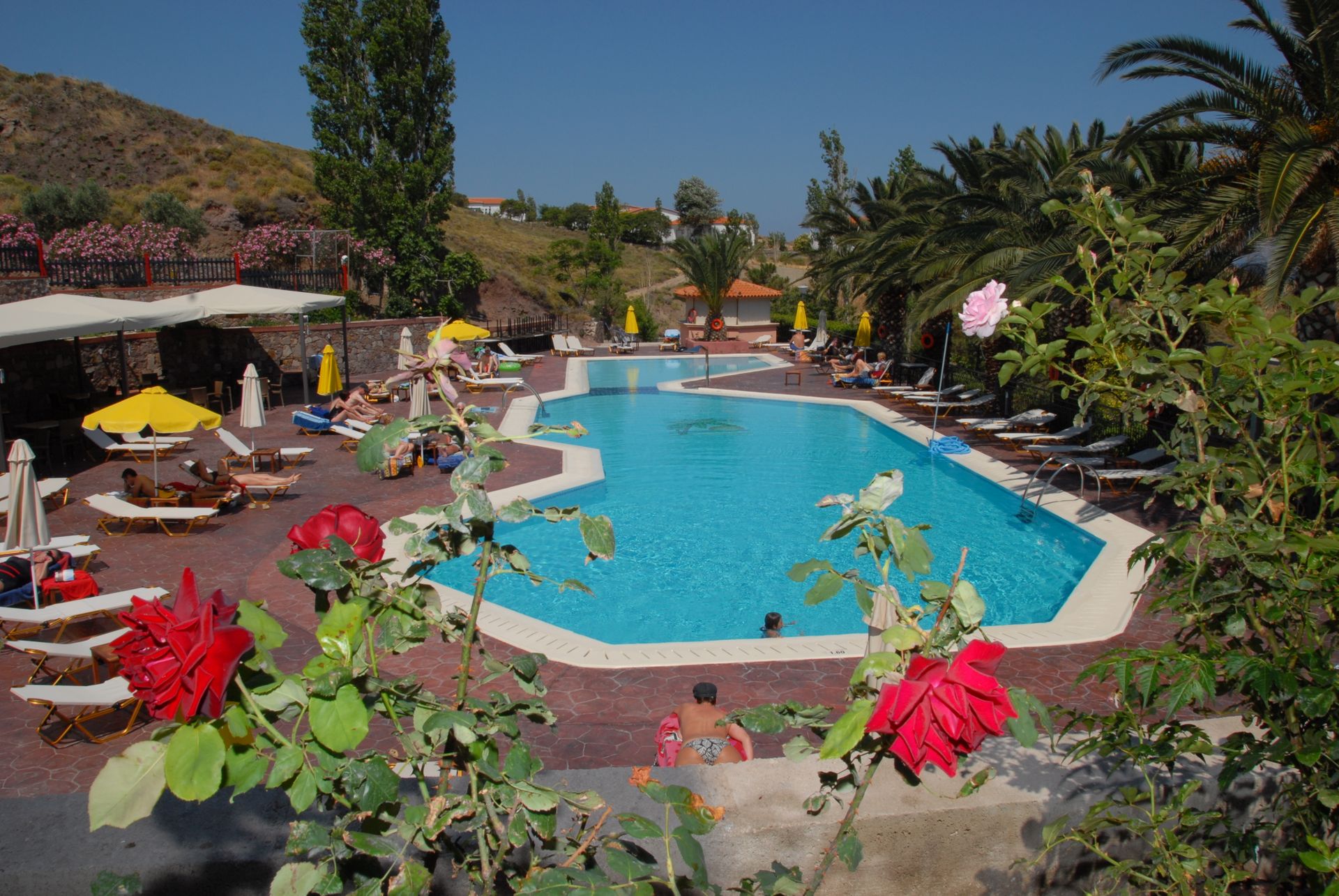 Sunrise Resort Hotel - 12