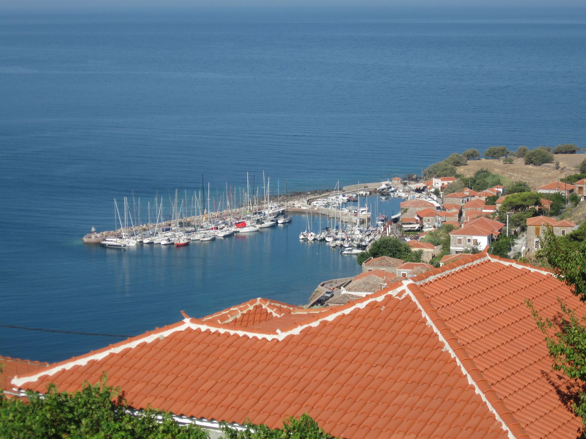Sunrise Resort Hotel - 15